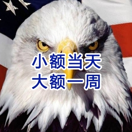 西林要账公司